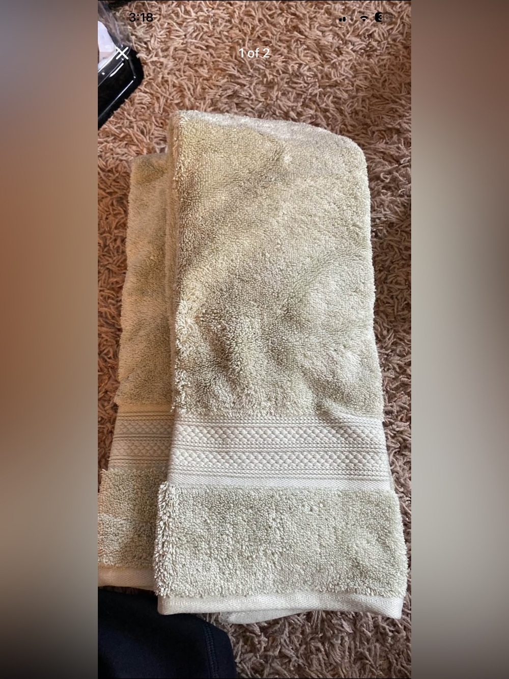 Kohl's Sage Luxury Collection Hand Towel (2)